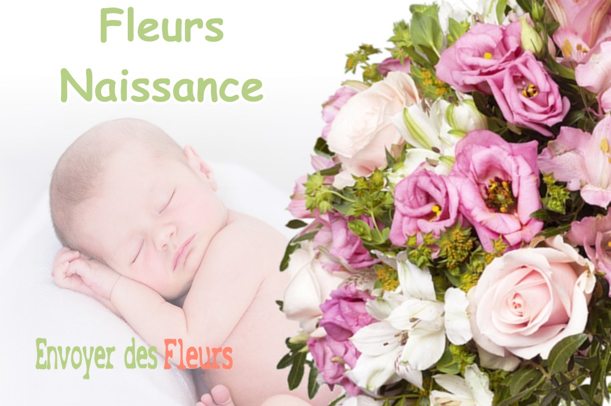 lIVRAISON FLEURS NAISSANCE à ARSURE-ARSURETTE